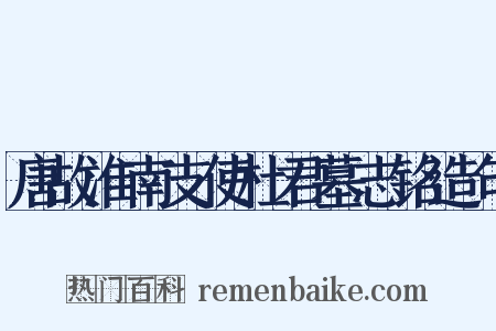 唐故淮南支使杜君墓志铭造句是什么意思的图片